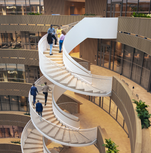 53891069506_eb448ec66f_k